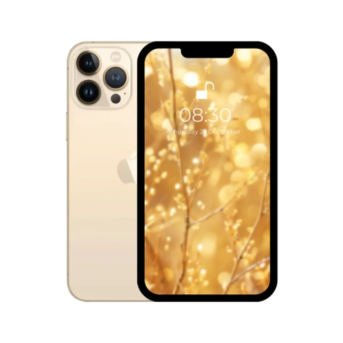 Apple iPhone 13 PRO MAX (Gold) 256 GB Factory Unlocked PTA