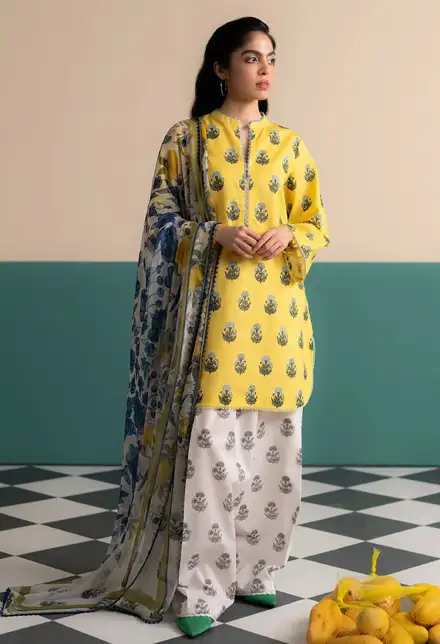 zara-shahjahan020825213423.jpg